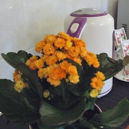 Ivana Apartamento Split