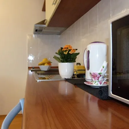Apartment Ivana
